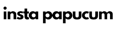 instapapucum.com